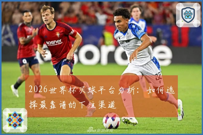 2026世界杯买球平台分析：如何选择最靠谱的下注渠道