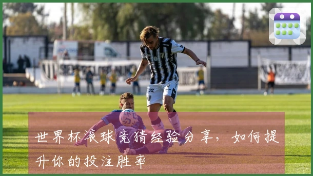 世界杯滚球竞猜经验分享，如何提升你的投注胜率