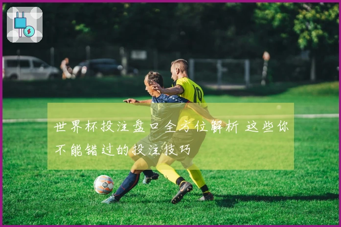 世界杯投注盘口全方位解析 这些你不能错过的投注技巧