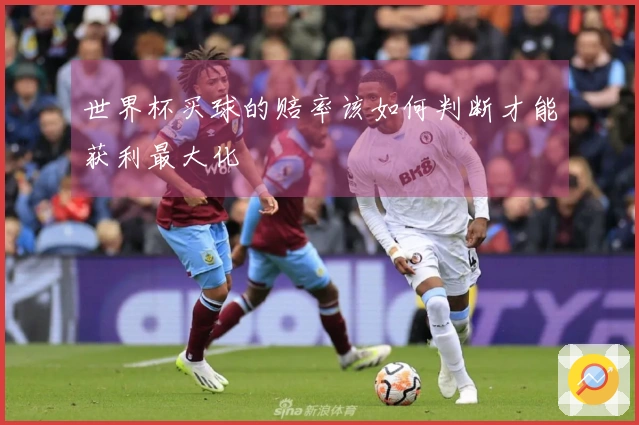 世界杯买球的赔率该如何判断才能获利最大化