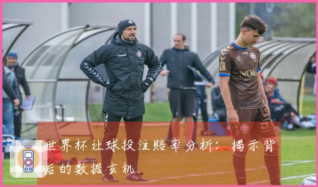 世界杯让球投注赔率分析：揭示背后的数据玄机