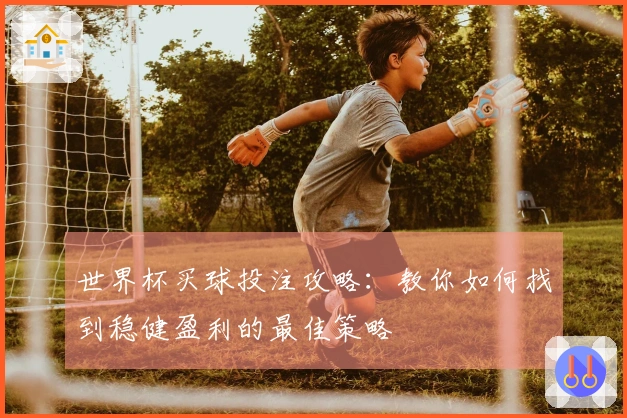 世界杯买球投注攻略：教你如何找到稳健盈利的最佳策略