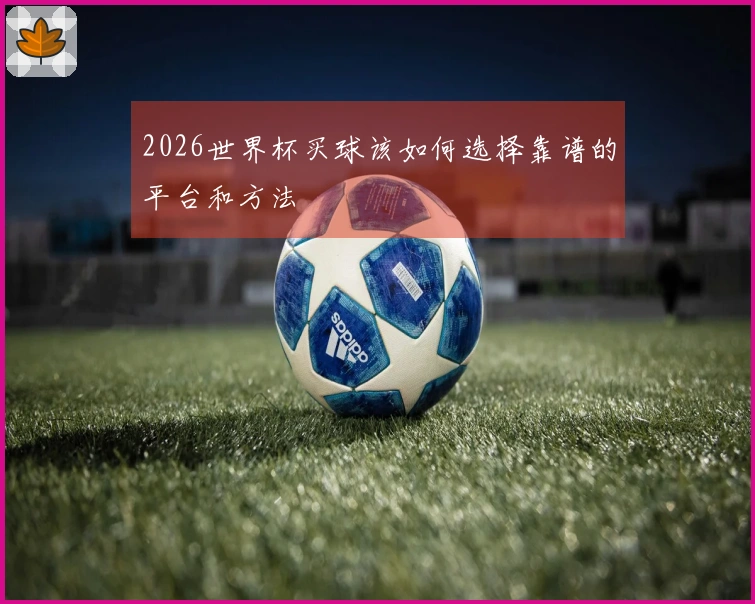 2026世界杯买球该如何选择靠谱的平台和方法